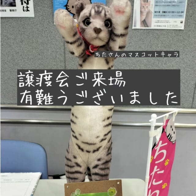 猫 捕獲 オファー 器 カバー